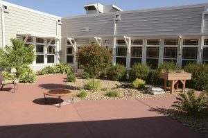 Outdoor area with trees, shrubbery, and blue sky.